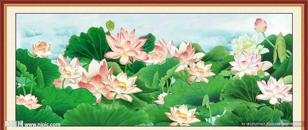 荷花