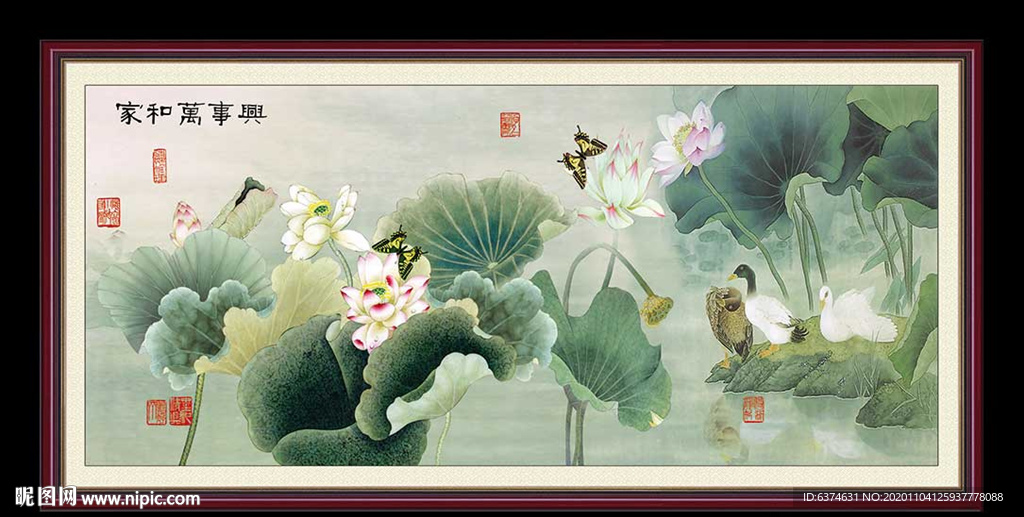 荷花