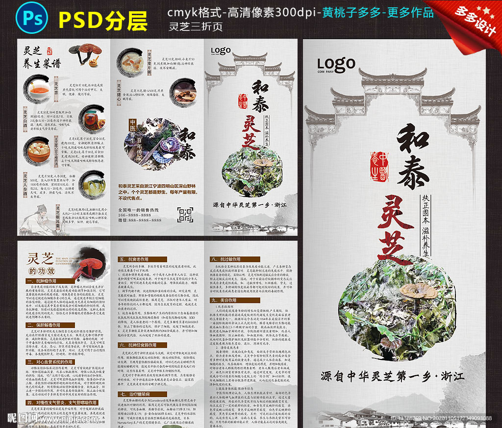 灵芝三折页