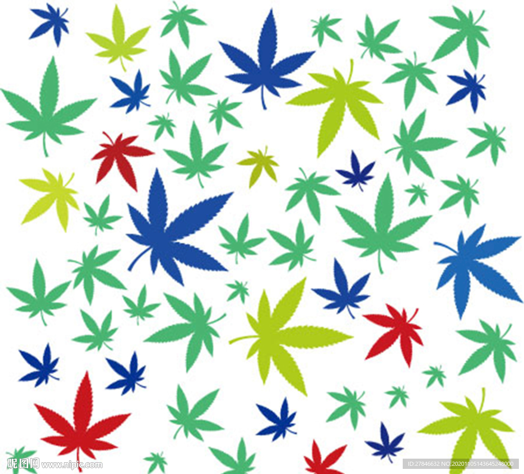 枫叶