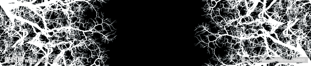 手绘树支
