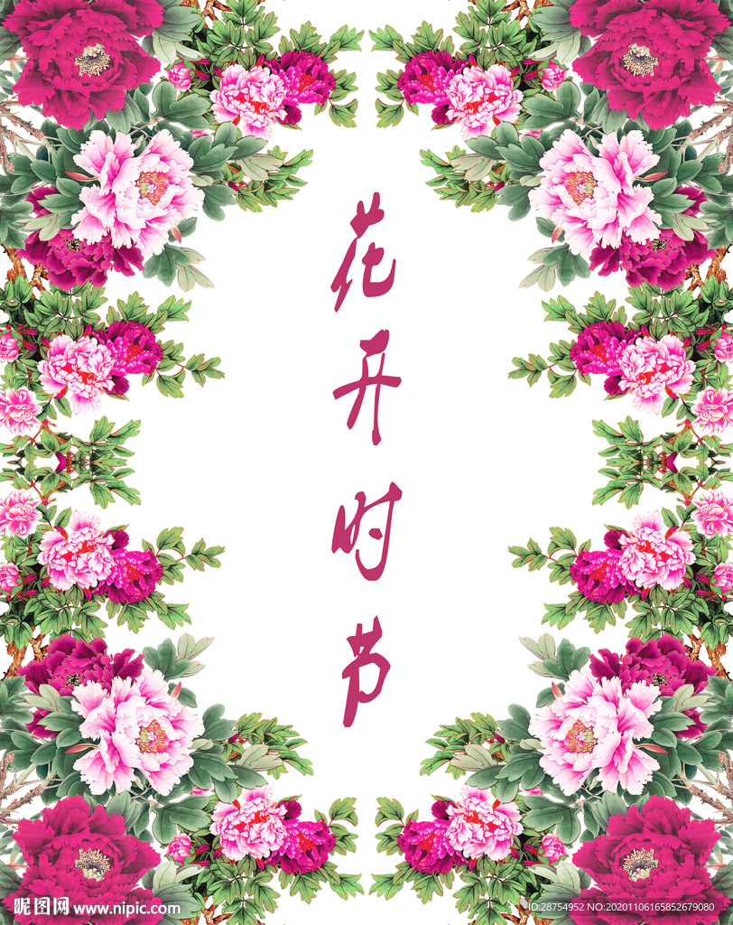 玫瑰花素材