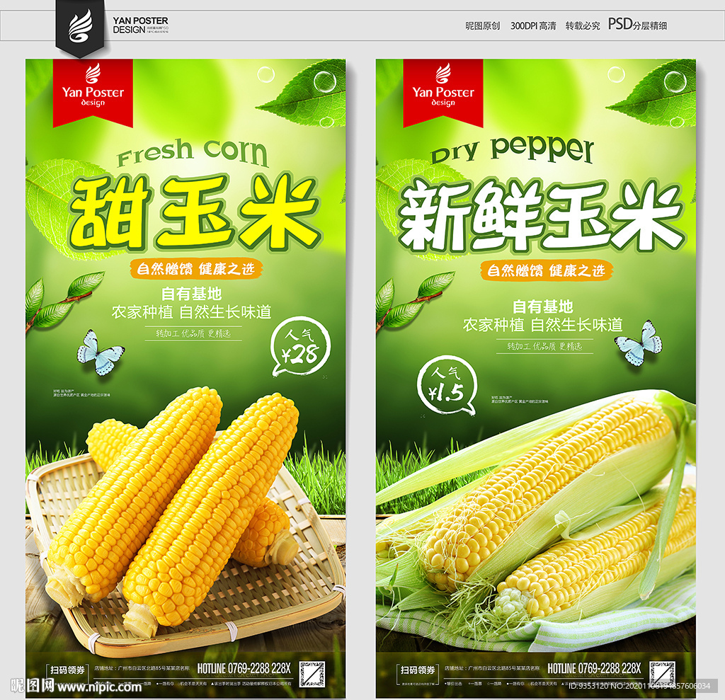 玉米