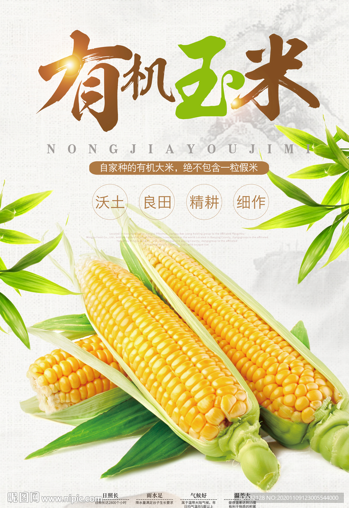有机玉米海报