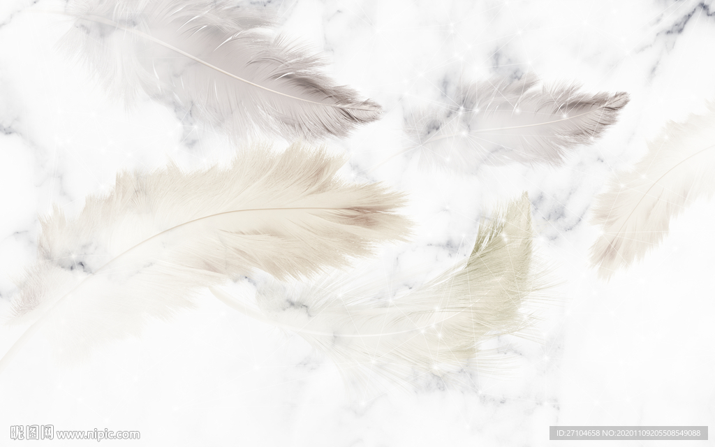 大理石纹羽毛背景墙