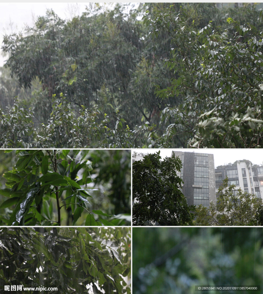 下雨暴雨4K高清实拍