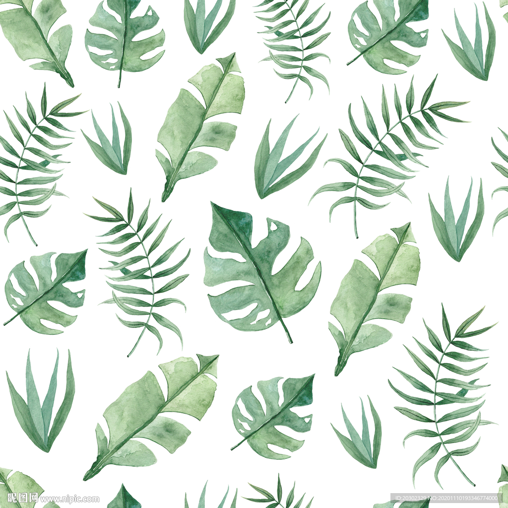 植物绿叶