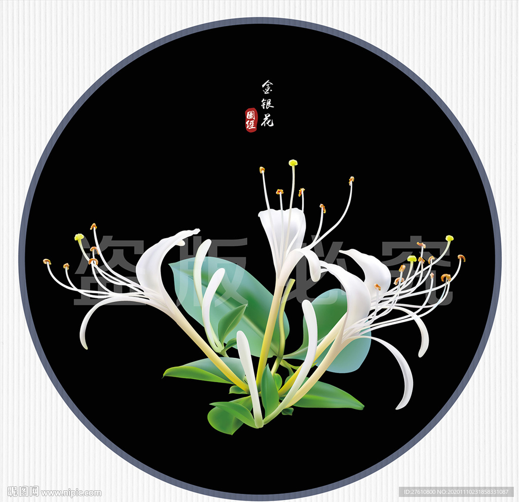 矢量金银花