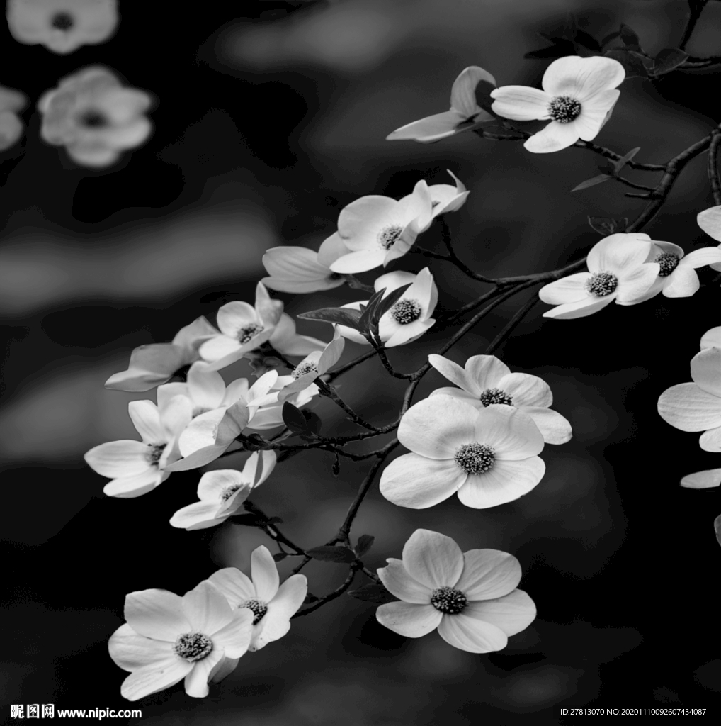 墙纸墙布壁纸壁布肌理纹