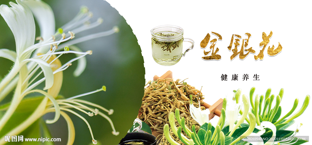 金银花