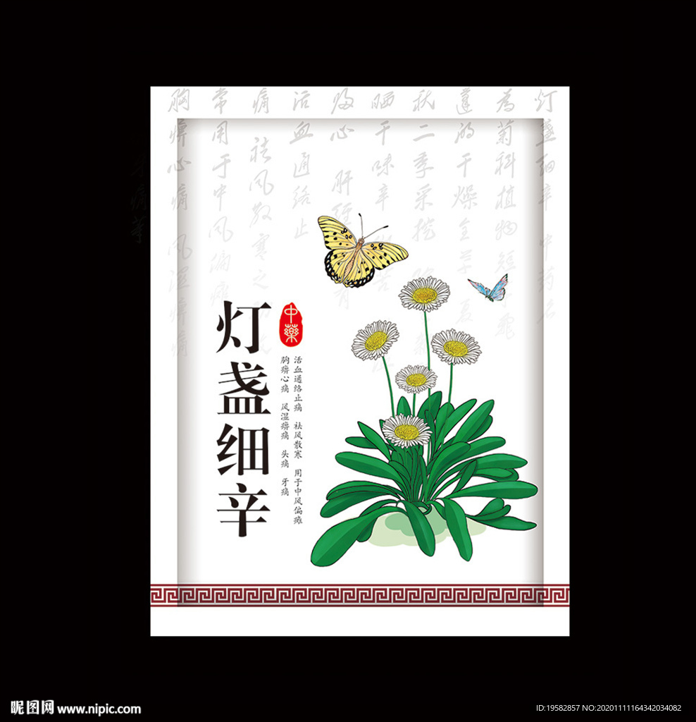 灯盏花 灯盏细辛