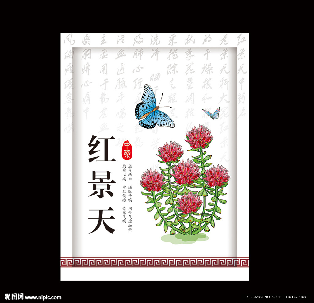 红景天