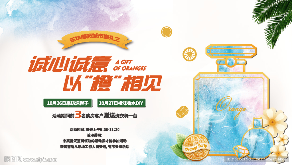 橙子活动