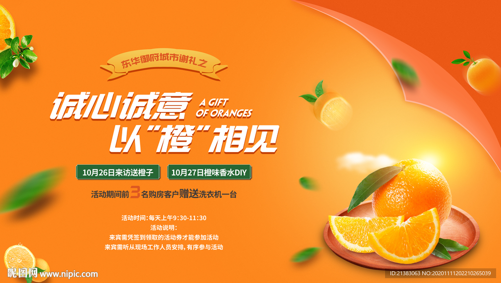 橙子活动