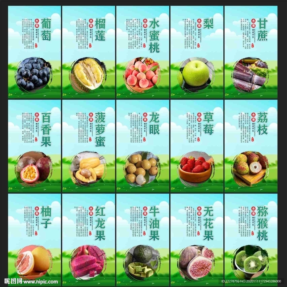 水果挂画 水果海报