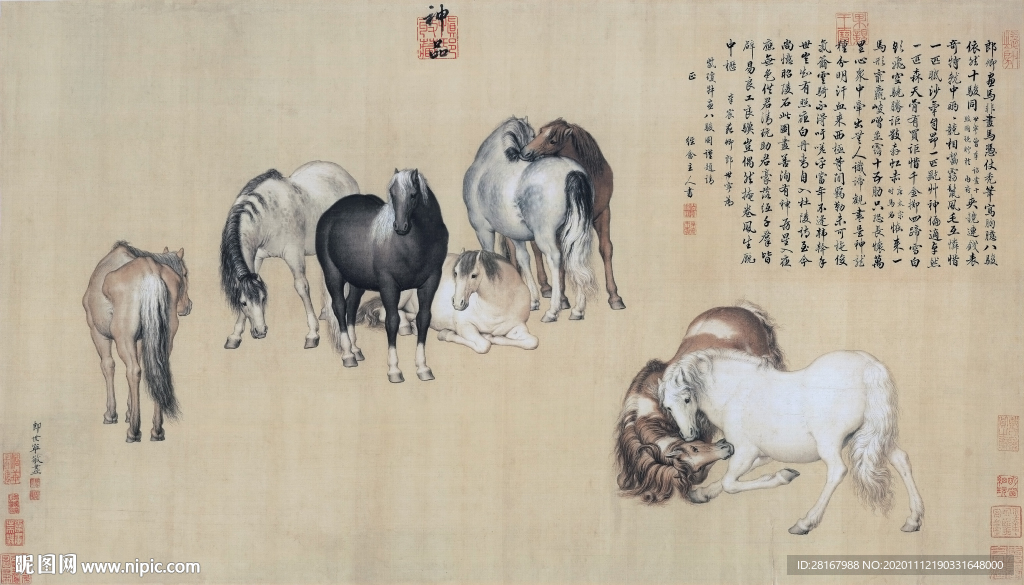 八骏图 郎世宁设计图__绘画书法_文化艺术_设计图库_昵图网nipic.com