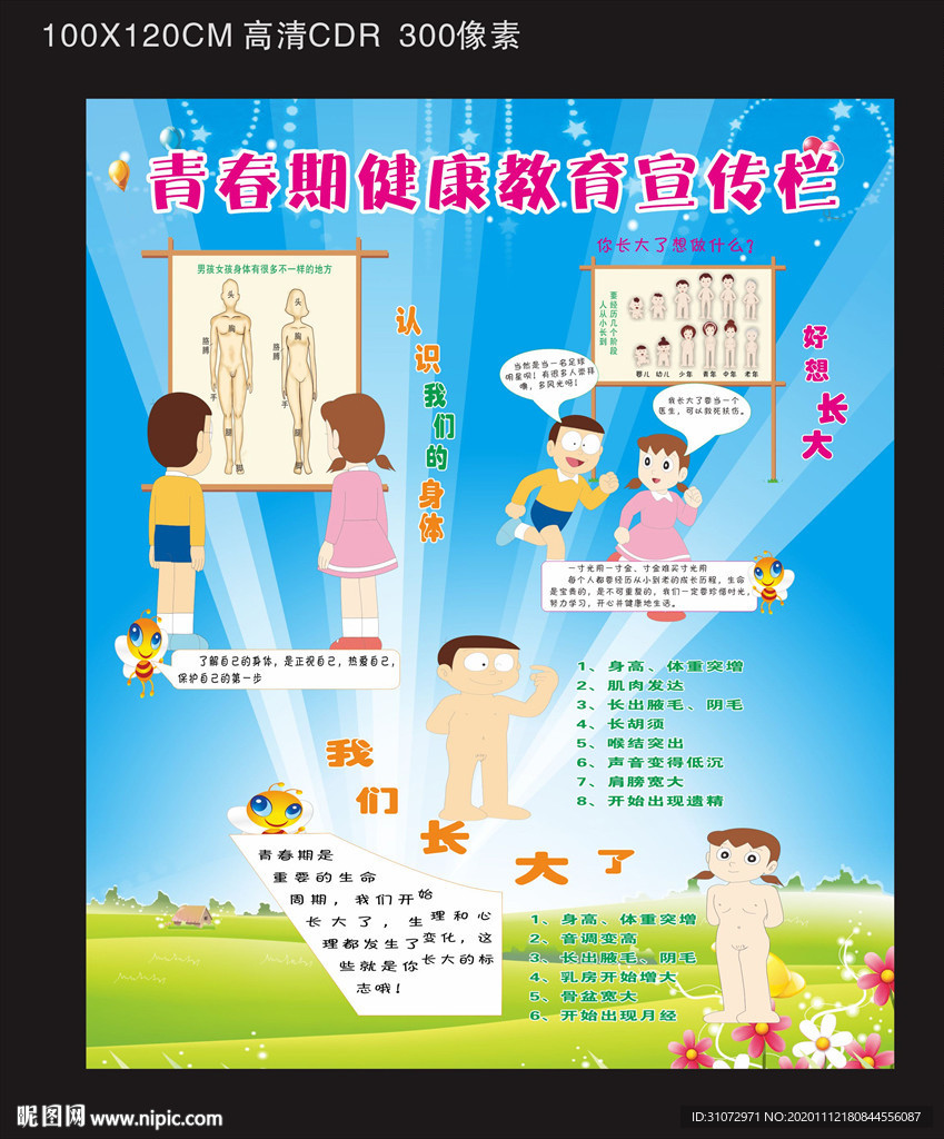 青春期健康教育宣传栏