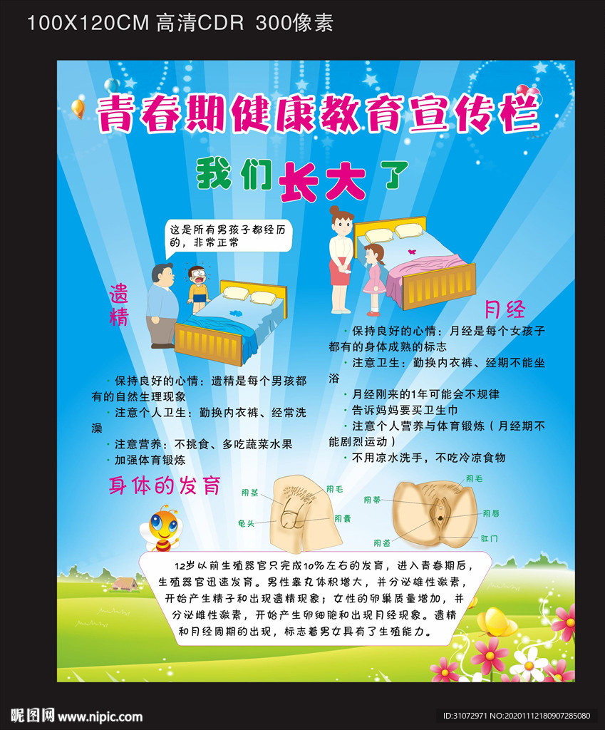 青春期健康教育宣传栏