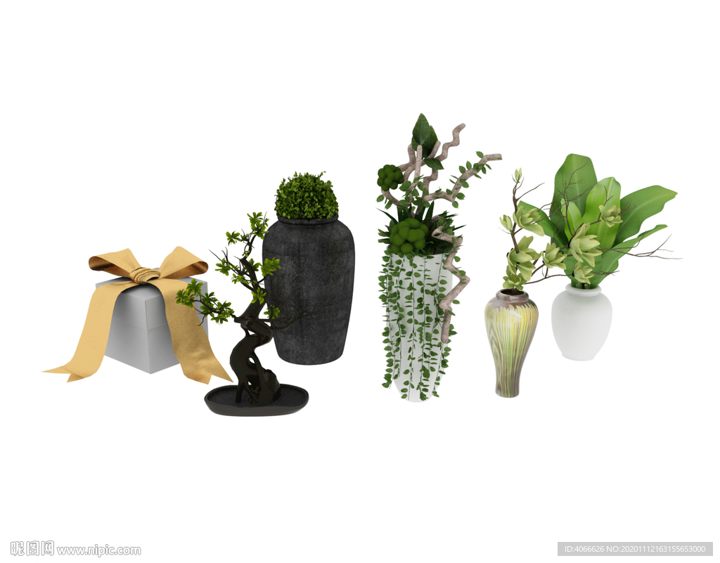 花瓶植物3d模型