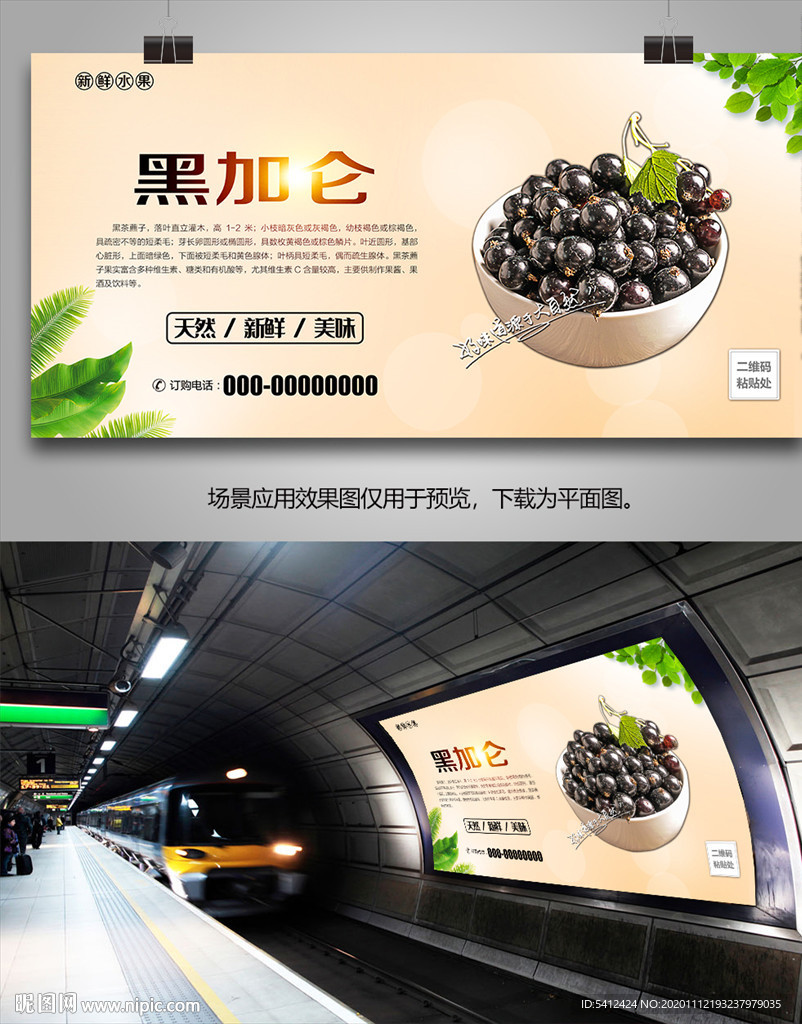 黑加仑挂画展板单页灯箱展架