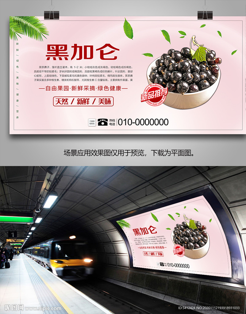 黑加仑展板挂画灯箱海报易拉宝