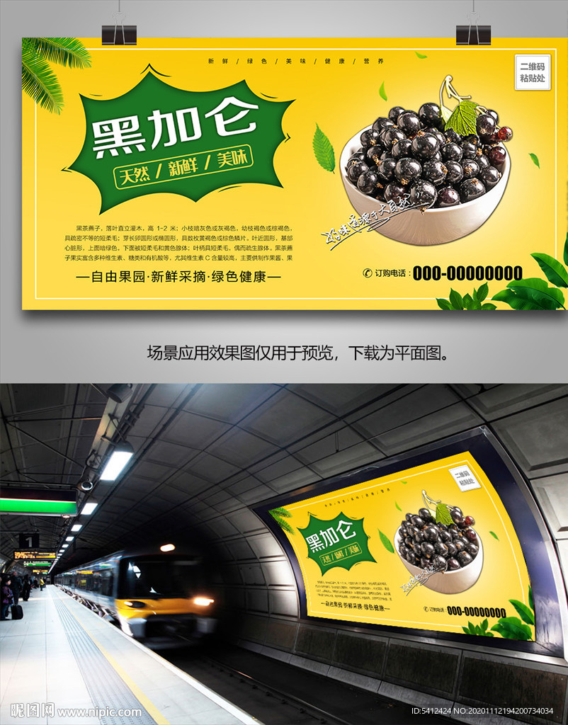 黑加仑海报展架灯箱展板单页挂画
