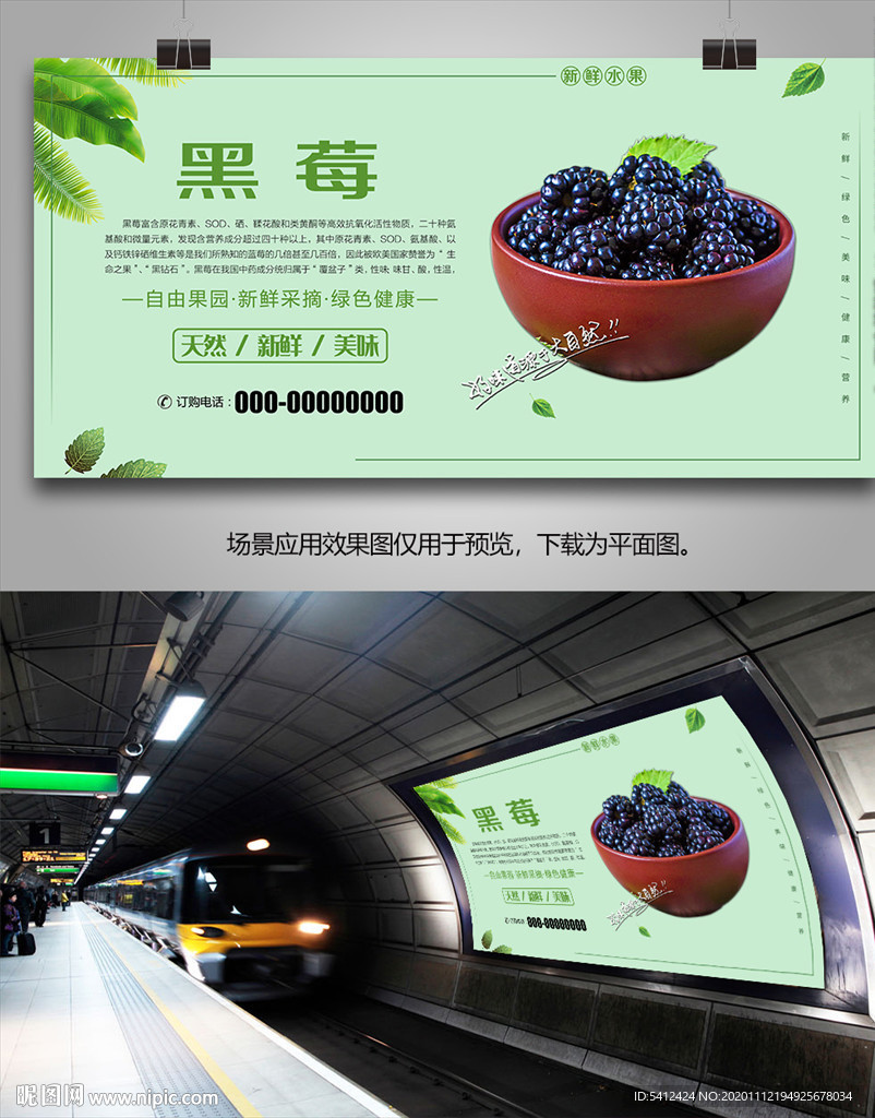 新鲜黑莓挂画展板单页展架易拉宝