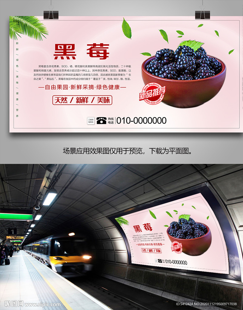 新鲜黑莓海报展板挂画单页灯箱