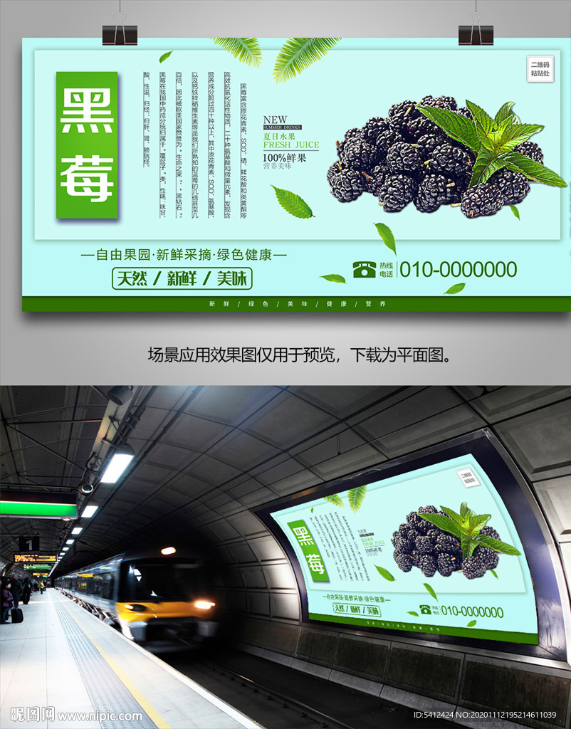 新鲜黑莓灯箱展板海报展架单页