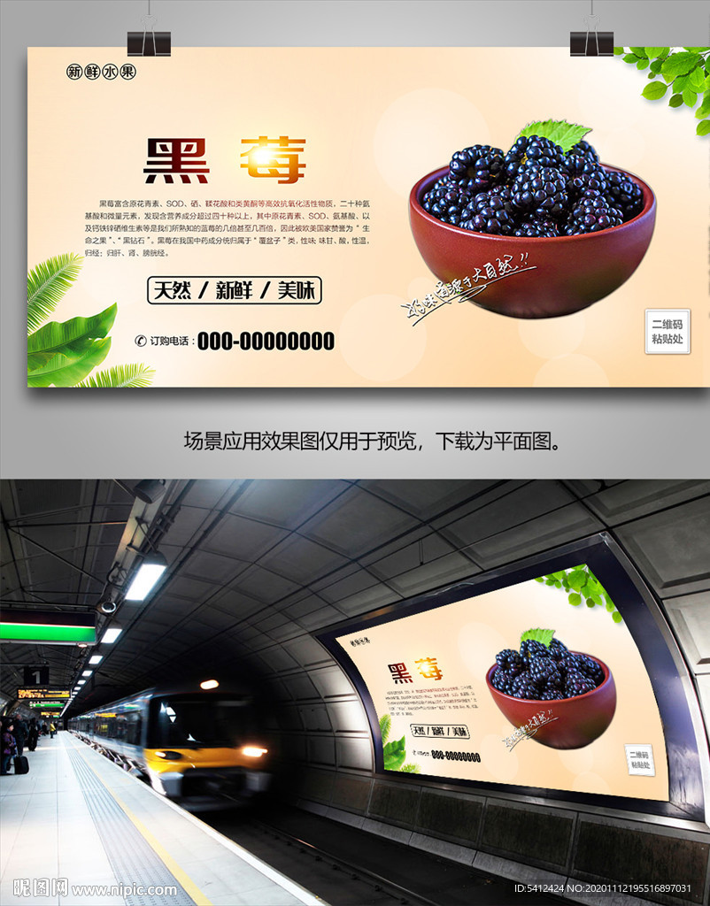 新鲜黑莓易拉宝挂画海报灯箱展架