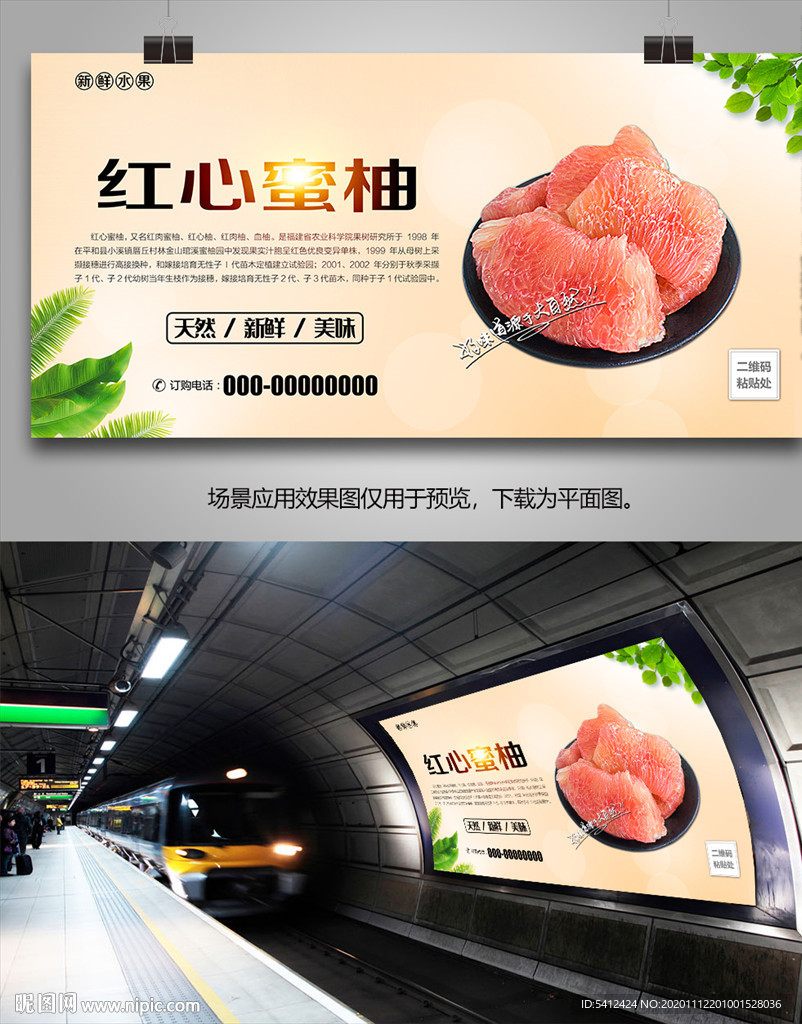 红心蜜柚海报单页展架挂画易拉宝