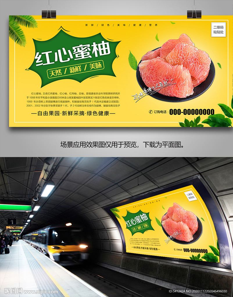 红心蜜柚挂画展架灯箱海报易拉宝
