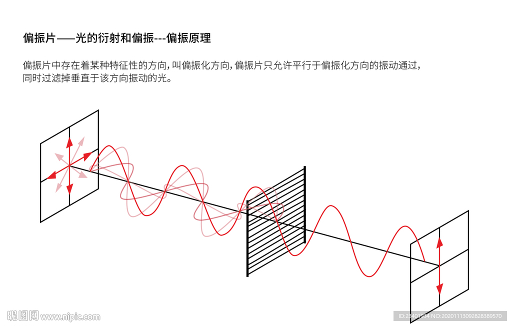 偏振原理偏振片光衍射