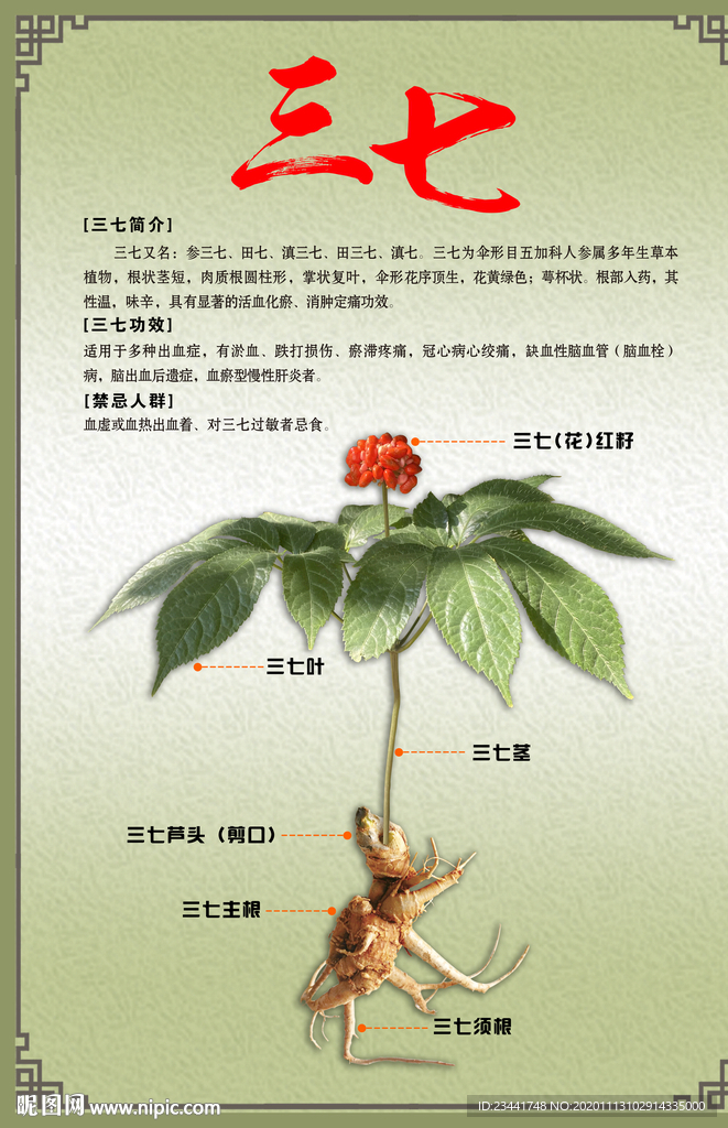 三七海报