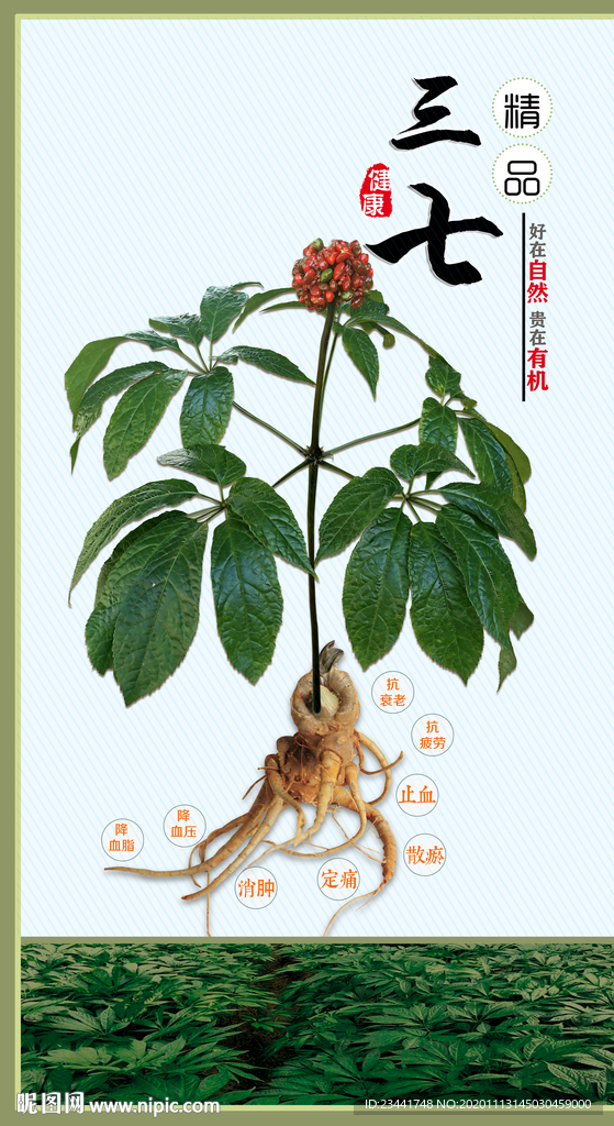 三七广告