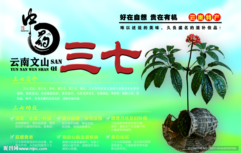三七海报