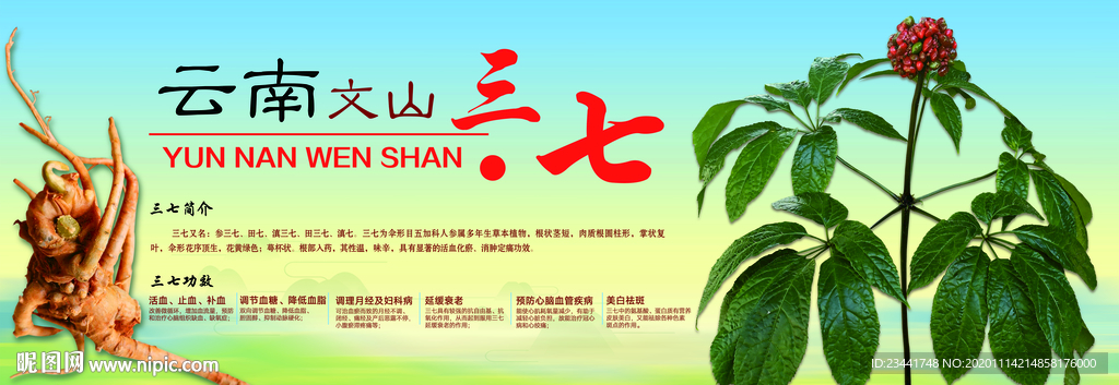 三七海报