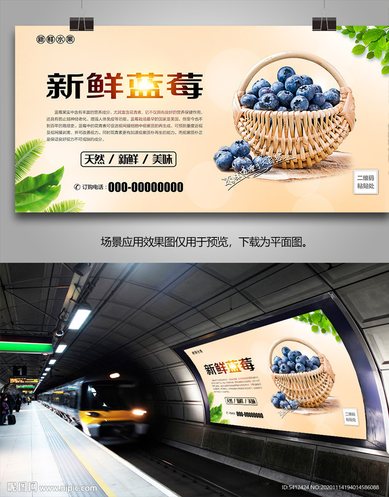 蓝莓易拉宝单页展板灯箱挂画海报