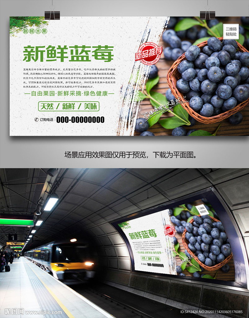 蓝莓展板挂画单页易拉宝海报灯箱