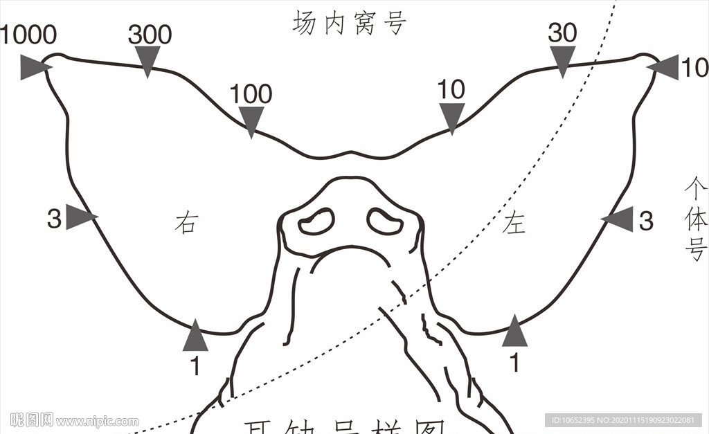 猪图