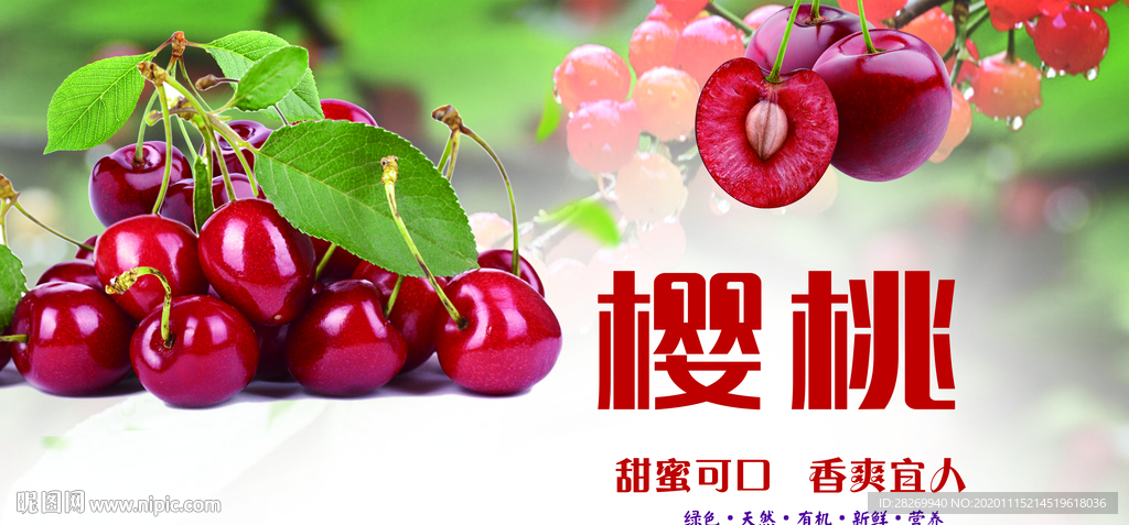 樱桃