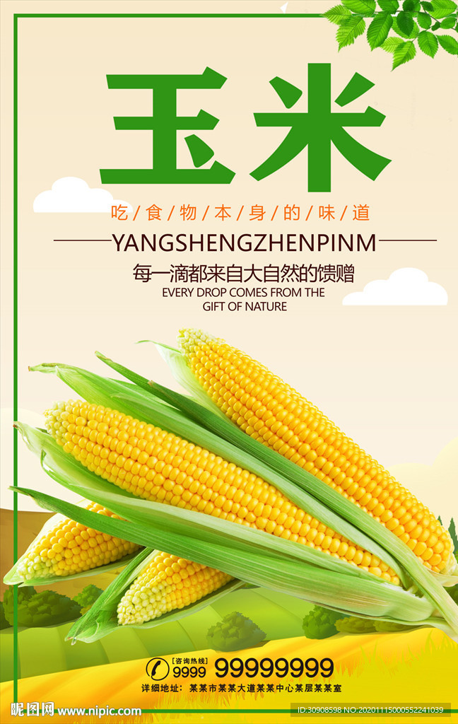 玉米