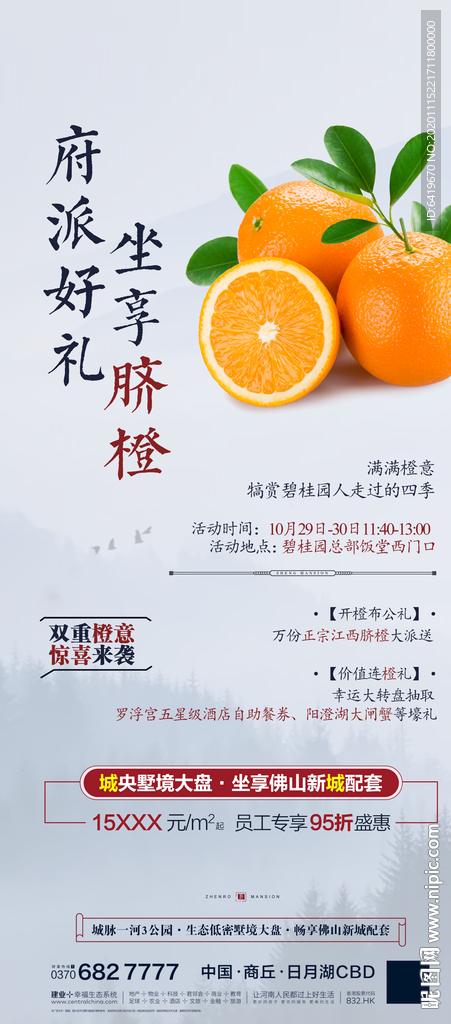 全城派送脐橙大钜惠活动海报
