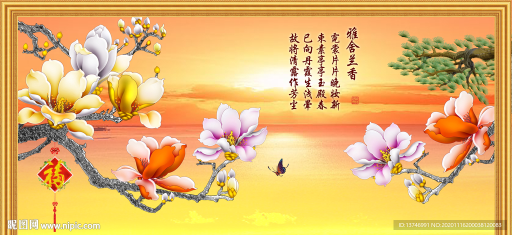 玉兰花