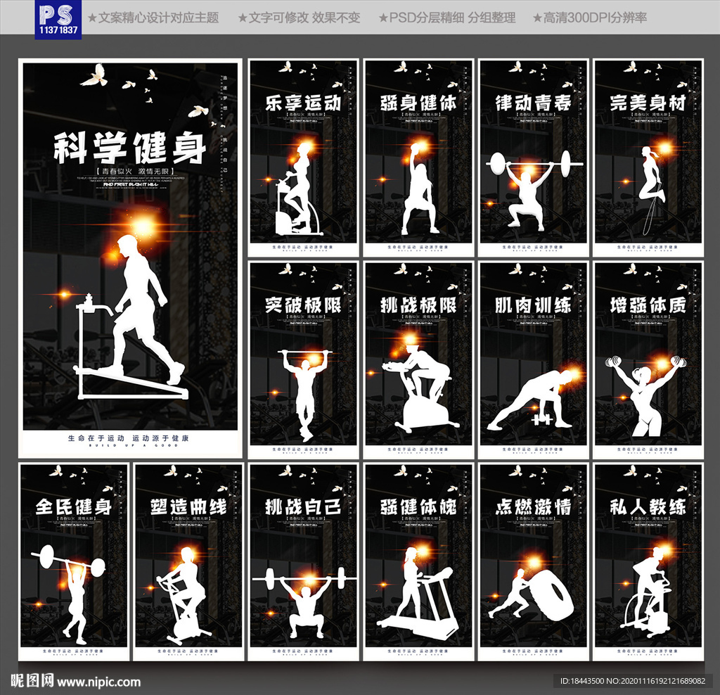 健身 健身海报 健身展板