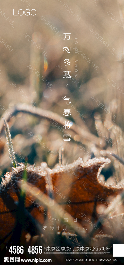 小雪