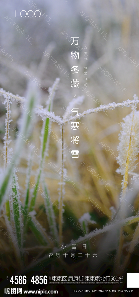 小雪