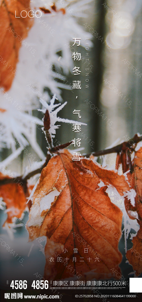 小雪
