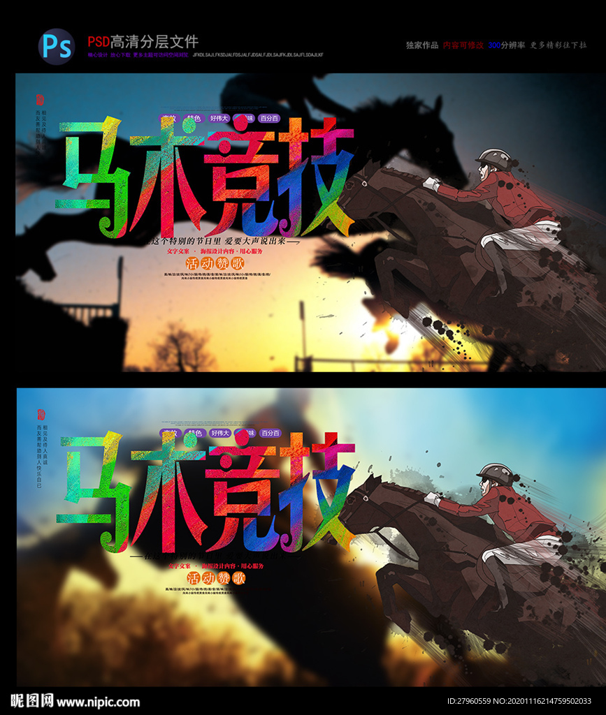 马术培训 马术表演