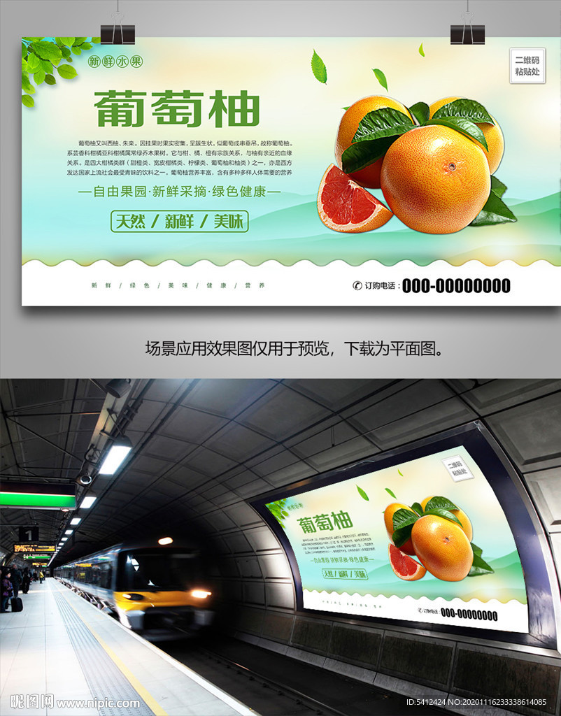 葡萄柚灯箱易拉宝挂画展架单页